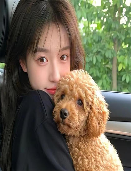 御龙在天月光pk视频-女婿回乡短剧免费观看全集视频